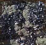 alterinhos_MC6y_20250330 103345.JPG