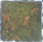 0524 CH E3 T4 (8).JPG