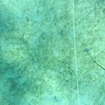 20201124_GRT_T1 (29).JPG