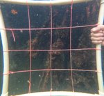 GPTempDownload (4).jpg