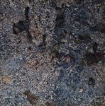 angeiras_MC3 20241022 121437_20241022 121610.JPG