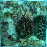 20230830_RH_15 (29).JPG