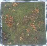 0524 CH E3 T4 (4).JPG