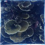 BR_20240606_5 (3).JPG