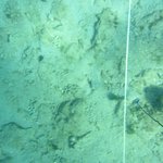 20201124_GRT_T1 (21).JPG