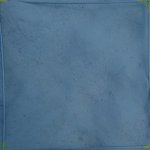 20210407_Sax_Transect 1 (30).JPG