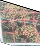 2 - 2021_R1_T1_ Crest_3.jpg