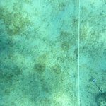 20201124_GRT_T1 (30).JPG