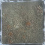 0524 CH E4 T2 (17).JPG