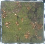 0524 CH E3 T4 (7).JPG