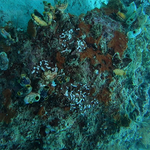 BL_20230826_15 (25).png