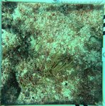 Florida Key_15_24_middle.jpeg