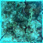 Florida Key_1_24_inner-1.jpg