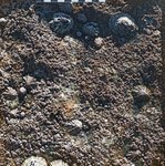 angeiras_MC9 20241022 124009_20241022 124038.JPG