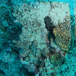 BL_20230826_20 (9).png