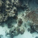 Solomon Islands.jpeg