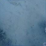 20210407_Sax_Transect 1 (27).JPG