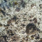 one tree island 8.jpg