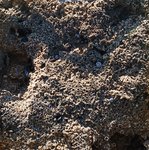 angeiras_MC5 20241022 122232_20241022 122534.JPG