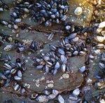 alterinhos_MC5y_20250330 102858.JPG