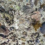 one tree island 14.jpg