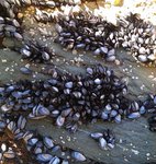 alterinhos_MC4y_20250330 103131.JPG