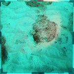 20230830_RH_25 (1).JPG