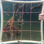 GPTempDownload (2).jpg