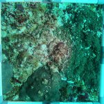 20230830_RH_25 (8).JPG