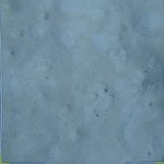 20210407_Sax_Transect 1 (24).JPG