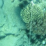 20201124_GRT_T1 (20).JPG