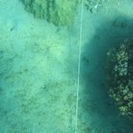 20201124_GRT_T1 (33).JPG