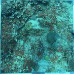 20230907_KS_10 (1).JPG