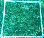 ZRP OLD BANK Q10.jpg