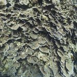 032031 - temples6.jpg