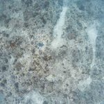 one tree island 3.jpg