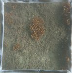 0524 CH E4 T2 (7).JPG