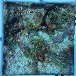 Florida Key_2_24_middle.jpg