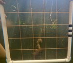 GPTempDownload (4).jpg