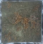 0524 CH E4 T4 (10).JPG