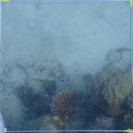 20210407_Sax_Transect 1 (20).JPG