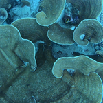 BL_20230826_15 (9).png