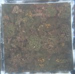 0524 CH E3 T4 (17).JPG