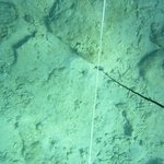 20201124_GRT_T1 (18).JPG