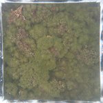 0524 CH E3 T4 (15).JPG