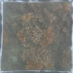 0524 CH E4 T2 (19).JPG