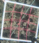 2 - 2021_R1_T1_ Crest_23.JPG