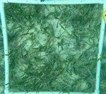 TURTLE HARBOUR Q10.jpg