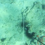 20201124_GRT_T1 (19).JPG