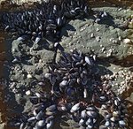 alterinhos_MC7y_20250330 103530.JPG